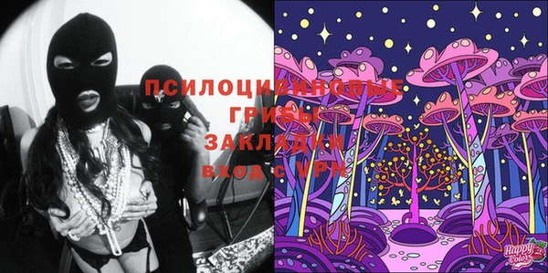 хмурый Алзамай
