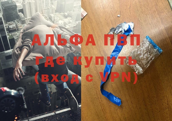 хмурый Алзамай