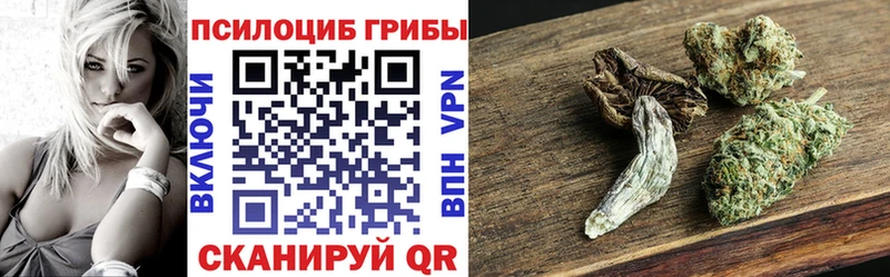 hydra онион  Сасово  Галлюциногенные грибы GOLDEN TEACHER  где продают  