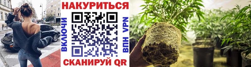 МАРИХУАНА Amnesia  Сасово 